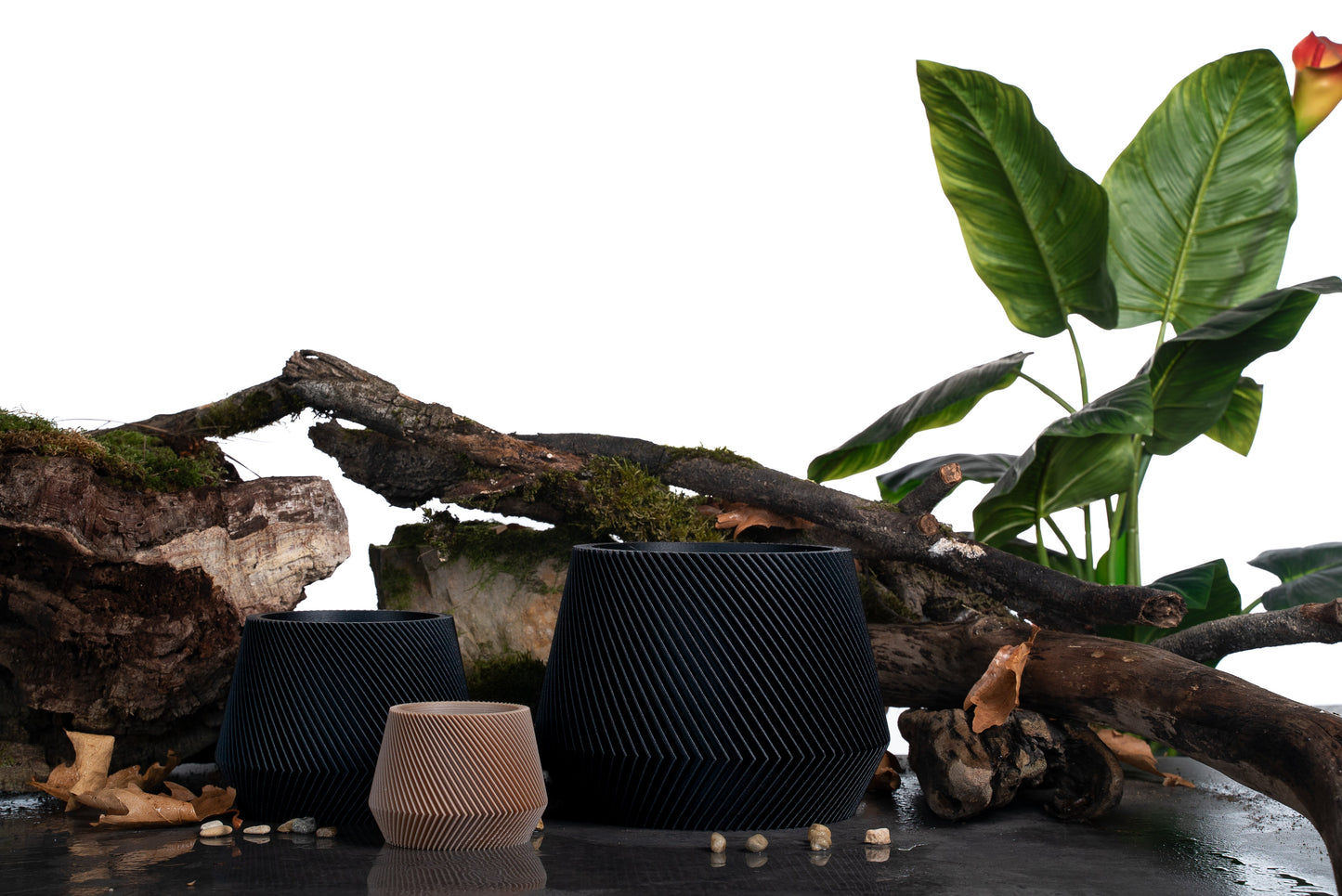 JACARANDA Black Flower Pot