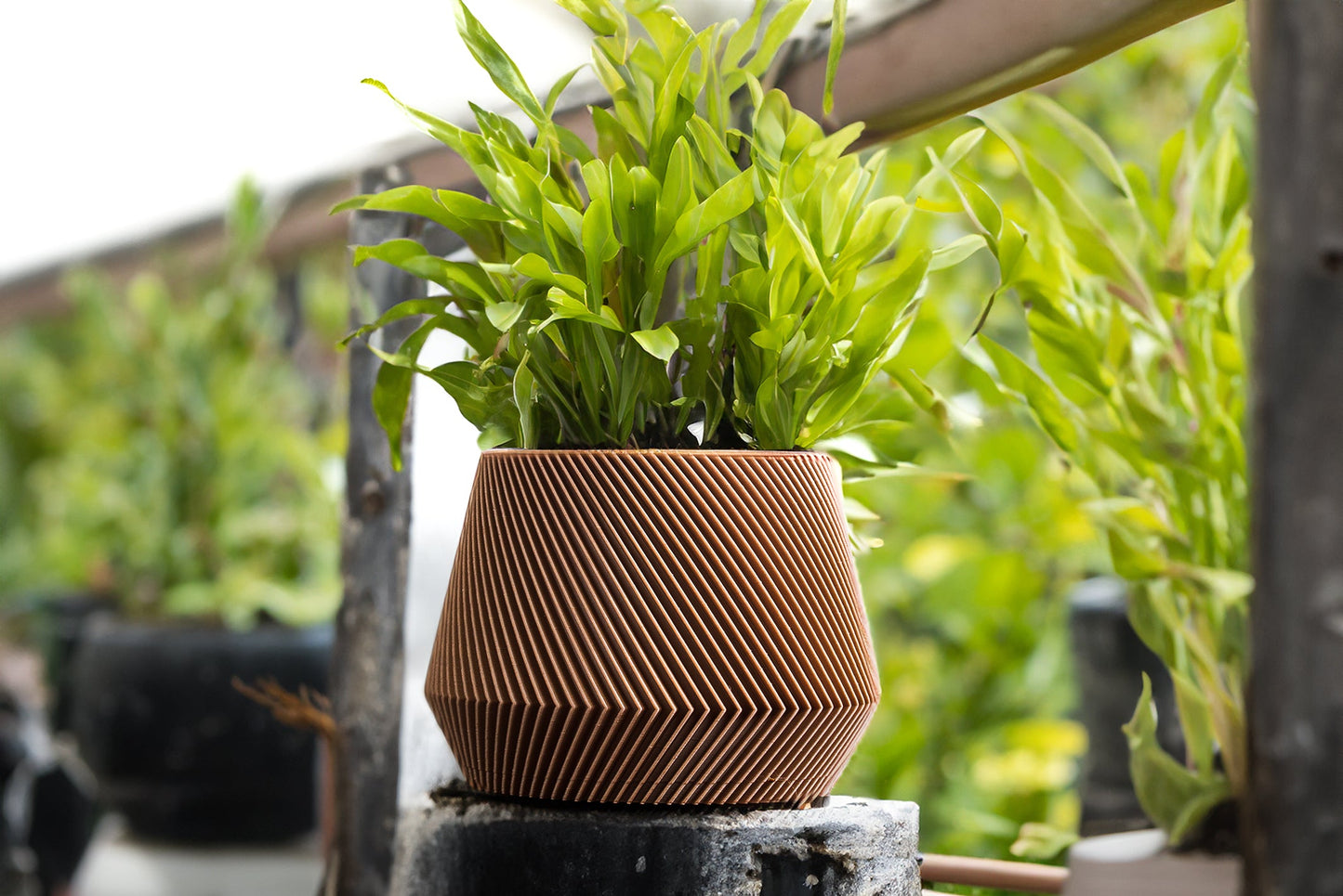 JACARANDA Black Flower Pot