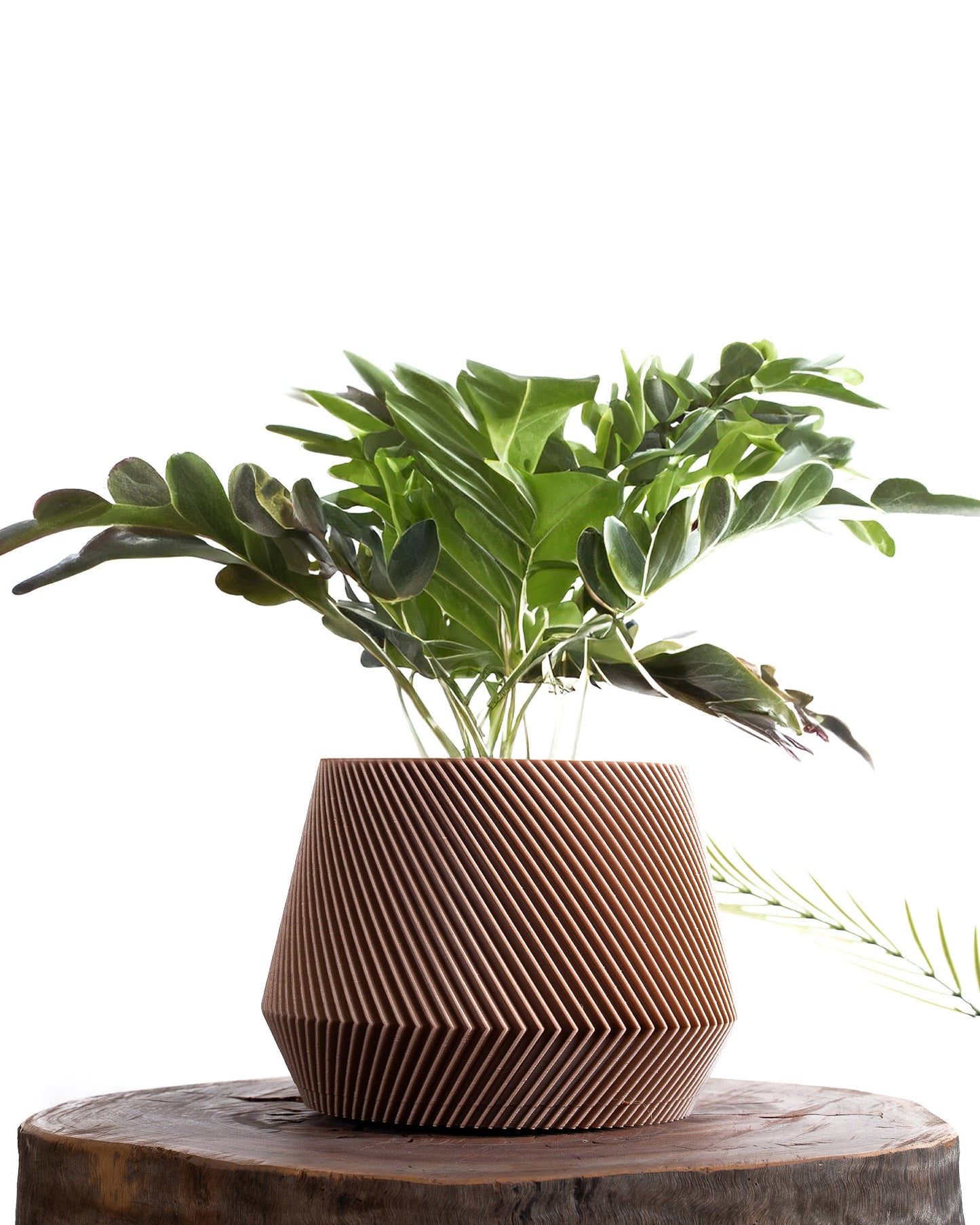 JACARANDA Black Flower Pot