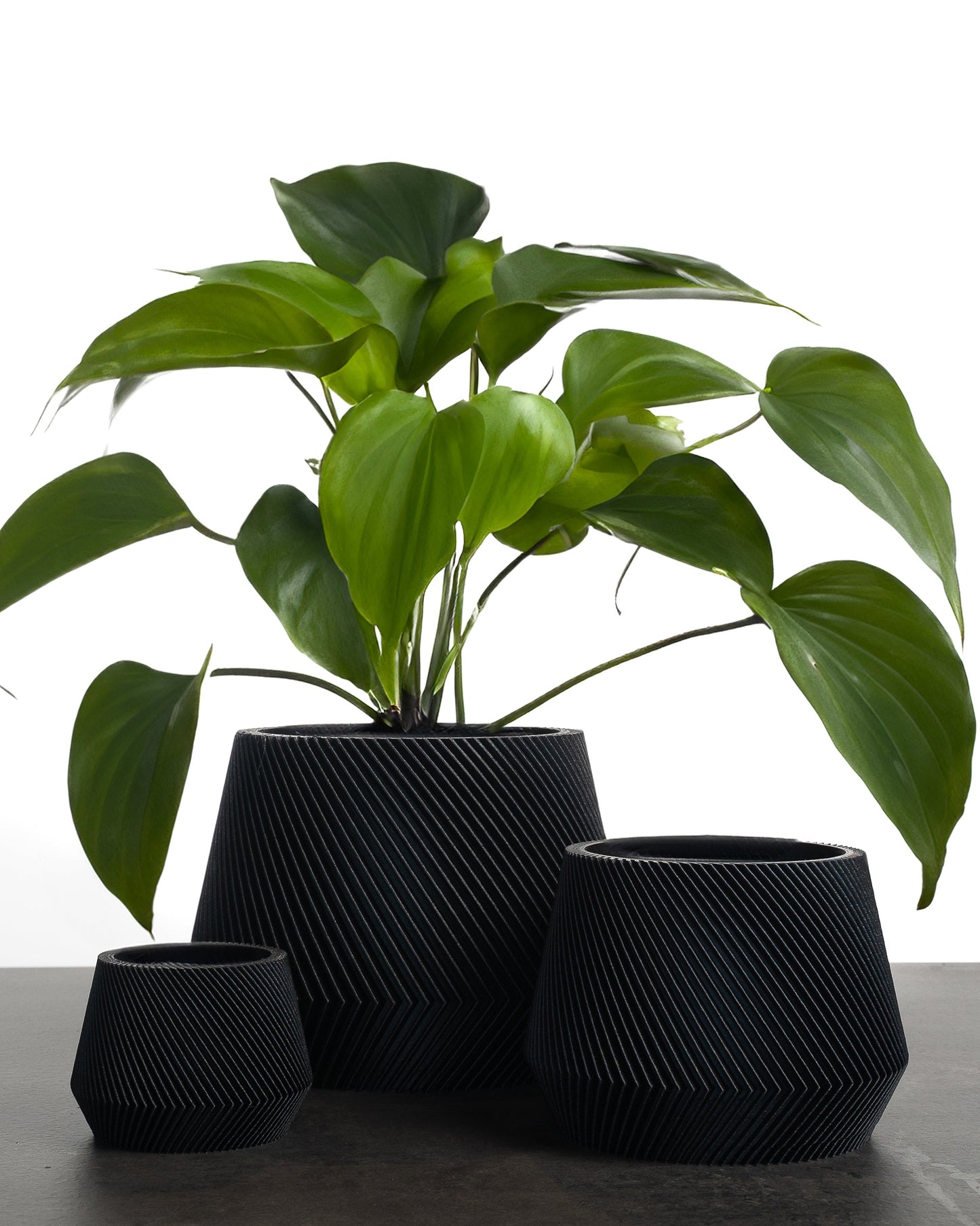 JACARANDA Black Flower Pot