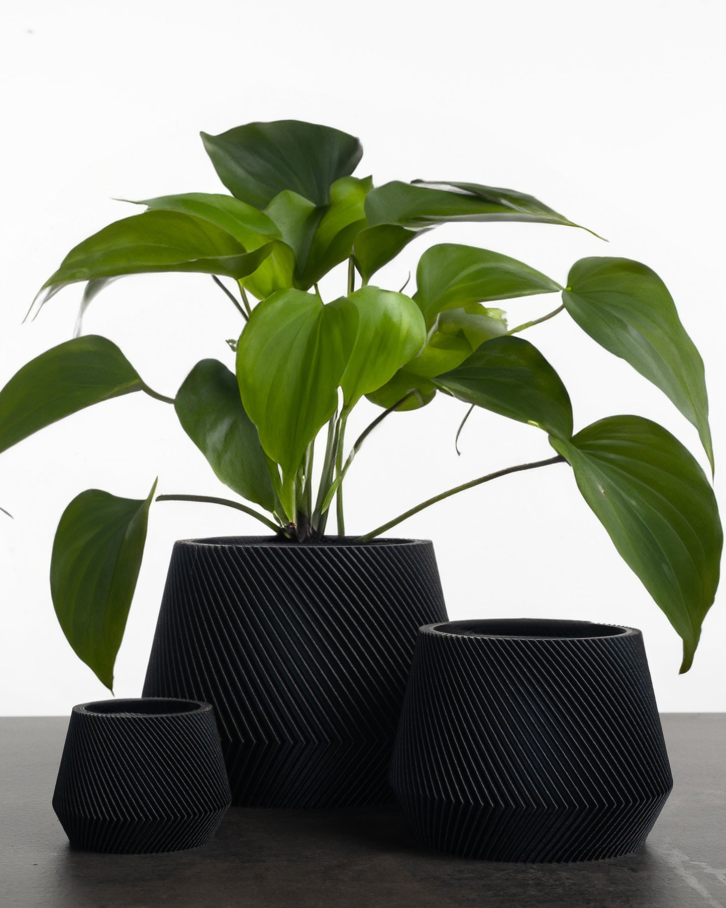 JACARANDA Black Flower Pot
