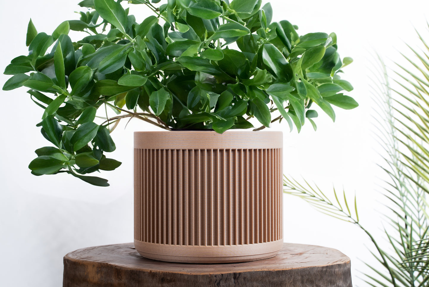 Redwood Wooden Flower Pot